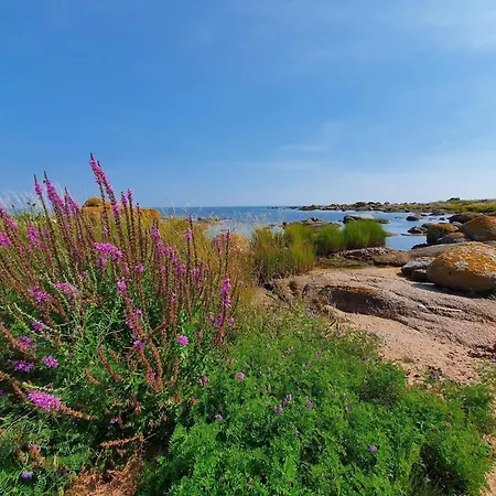 Seaside Idyll In - By Traum